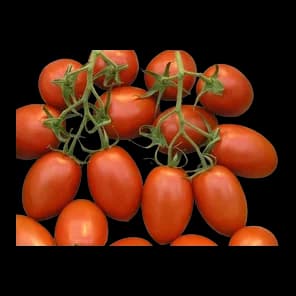 Paradajz šljivar roma, 500g 500g