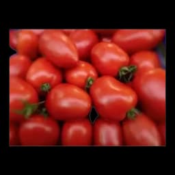 Paradajz sljivar 1kg 1kg