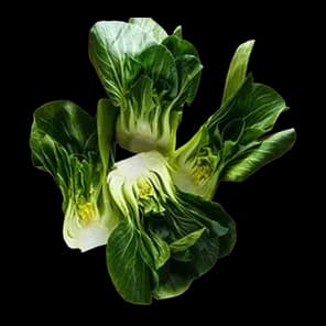 Pak Choi, komad 2kom.