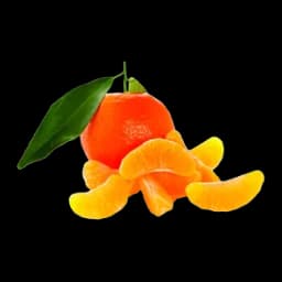 Mandora Enna Fruit