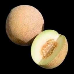 Dinja Ananas