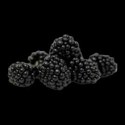 Kupina 125g Umk