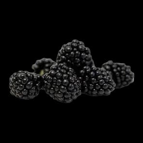 Kupina 125g Umk