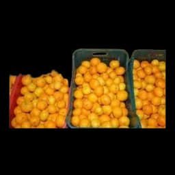 Mandarina Neretva