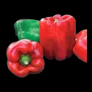 Paprika Crvena Stara Šifra