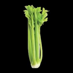 Celer List