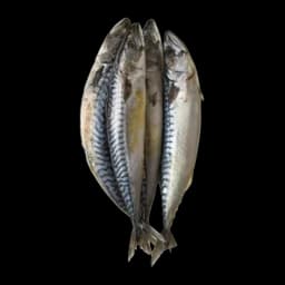 Skuša Cela Cca 1kg Frikom