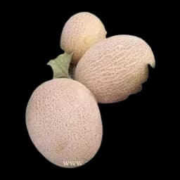 Dinja Galia