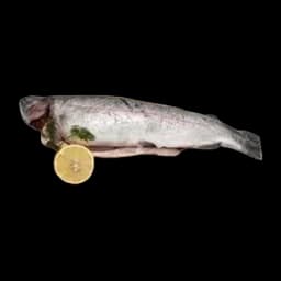 Pastrmka Cela Na Ledu Bio Fish Mm