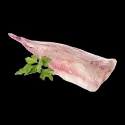 Rep Grdobe Na Ledu 1-2 Bio Fish