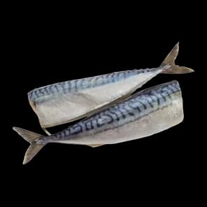 Skuša Cela Na Ledu Bio Fish