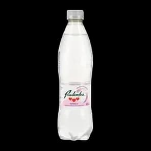 Voda Naturelle 0,5l Radenska