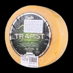 Sir Trapist cca 1.7kg