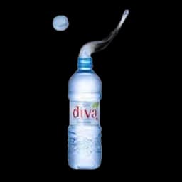 Voda Diva Izvorska Durmitorska 6l