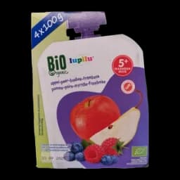 Org. Voćna kaša 4x100g SK1 4x100g