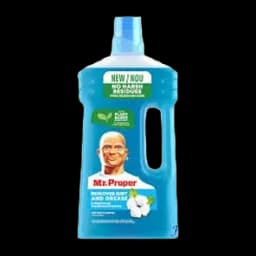 Sredstvo Za Podove Mr.proper Flower&spring 1l P&g