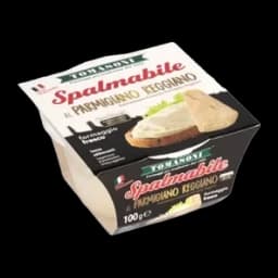 Namaz Od Parmigiano Reggiano Sira 100g Tomasoni