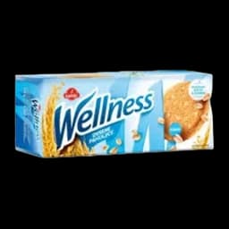 Wellness Integralni Keks Mini Cokolada 70g