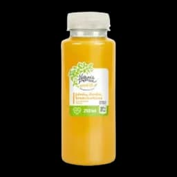 Sok jabuka,djumbir,limun,kurkuma NP250ml
