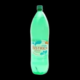 Bistrica prirodna gazirana voda2l