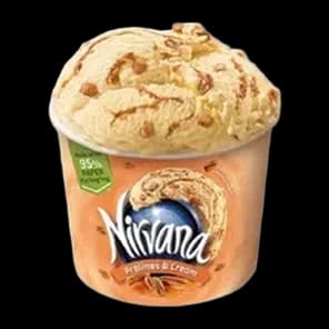 Sladoled Nirvana praline&krem 549g
