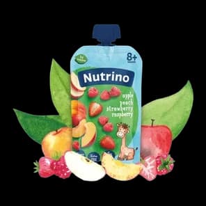 Pauč Voćni Mix Žitaric 100g Nutrino