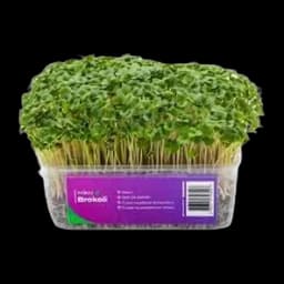 Mikrobilje brokoli 25g