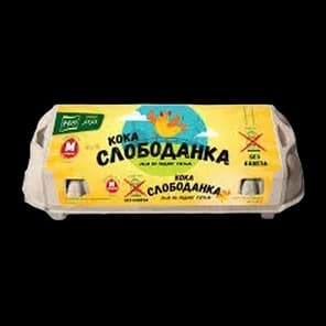 Jaja Sveža M Klasa 10/1 Slobodanka