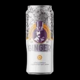 Sok Mr Ginger 250ml Can Terra