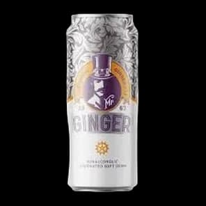 Sok Mr Ginger 250ml Can Terra