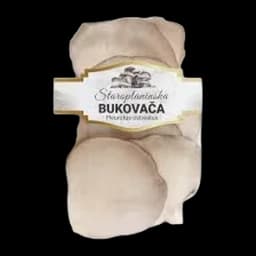 Pečurka Bukovača Staroplaninska200g
