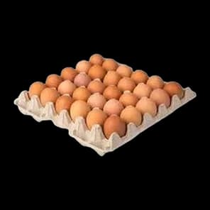 Jaja Morkina 4/1 Ag