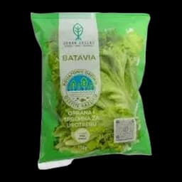 Salata Batavia 150gr Urban Greens