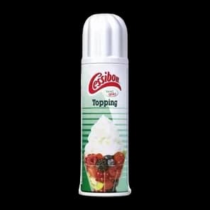 Topping Slag Sprej U Boci 250g Campina