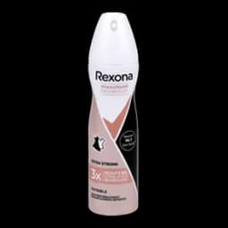 Deo M Spr Max Pro Inv 150ml Rexona