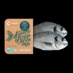 Orada 1000+ Bio Fish
