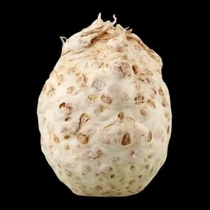 Celer koren kg