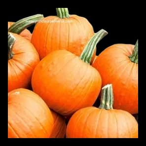 Halloween bundeva, rinfuz 1kg