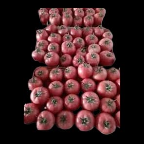 Paradajz