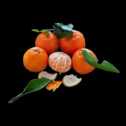 Mandarina