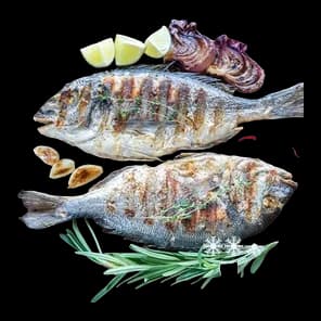 Orada 300-400 Bio Fish