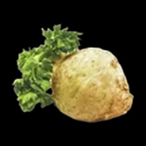 Celer koren, rinfuz 1kg