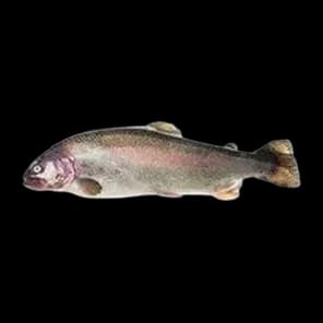 Pastrmka Barka Cca 1kg Principal