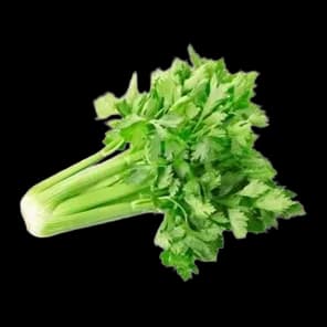 Celer List Kg