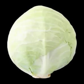 Kupus