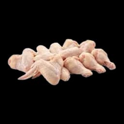 Pileca Krila