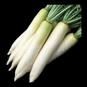 Rotkva Daikon