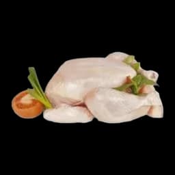 Gril Pile Pilence Podloška Kljucko