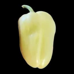 Paprika Babura