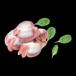 Pileći Želudac Rfz M